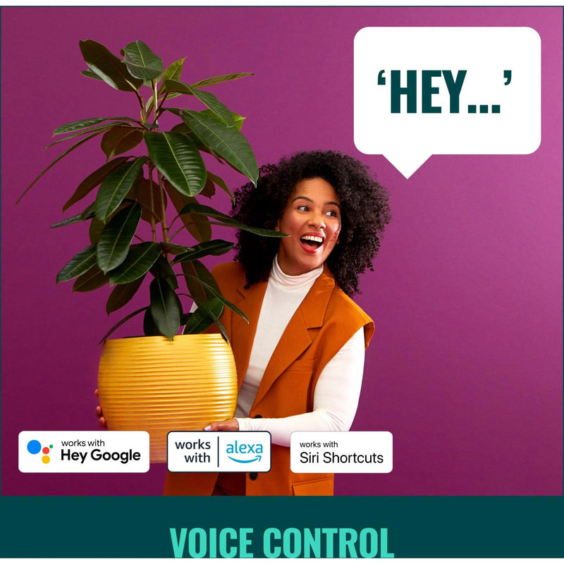 WiZ Colour & White Portable Light