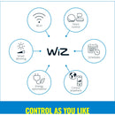 WiZ Colour & White Portable Light