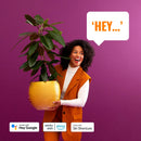 Phillips Wiz Pole Floor Light